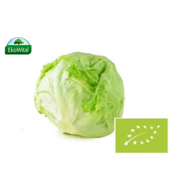 Sałata Lodowa BIO 1 szt