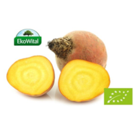 Burak żółty BIO IMPORT 1 kg