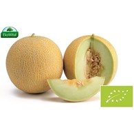 Melon Galia BIO IMPORT 1 kg