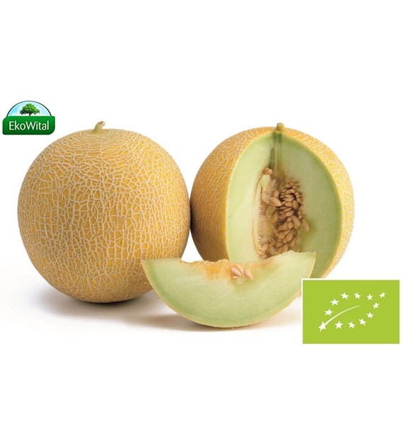 Melon Galia BIO IMPORT 1 kg