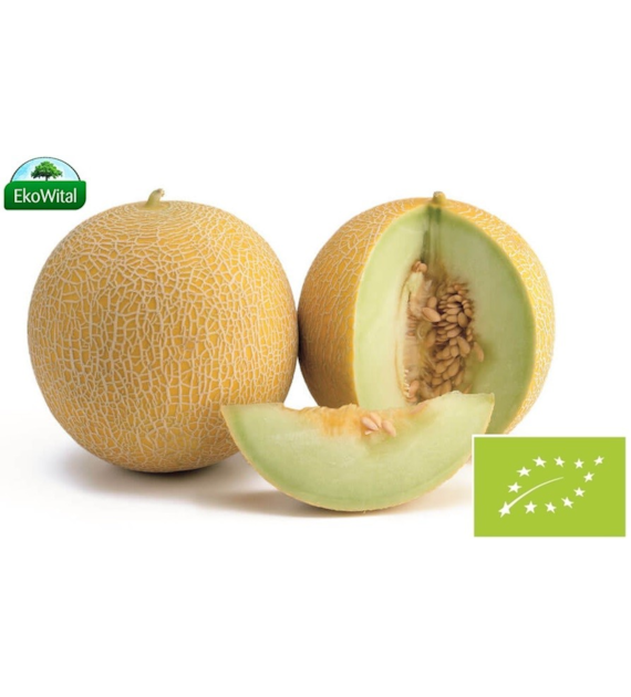 Melon Galia BIO IMPORT 1 kg