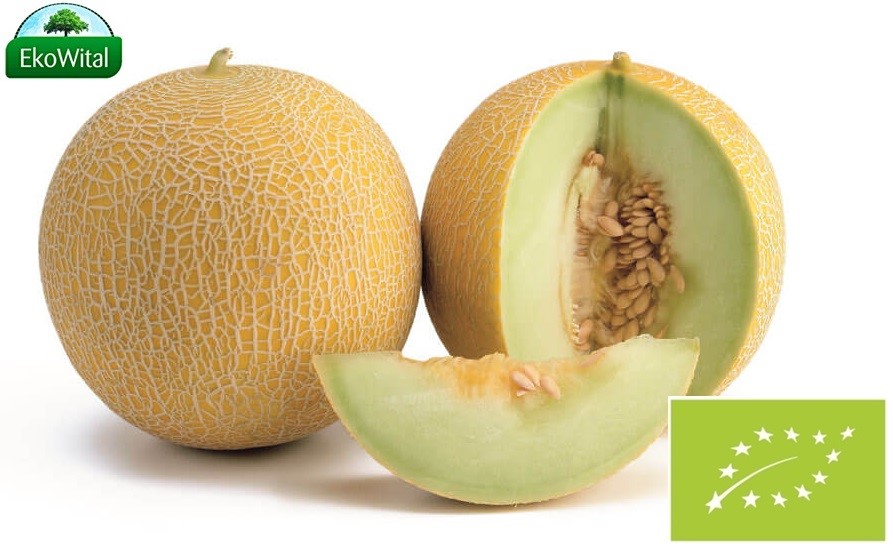 Melon Galia BIO IMPORT 1 kg