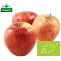 Jabłka Gala (WCZESNA) BIO 1 kg #