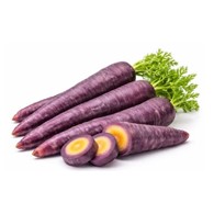 Marchew fioletowa BIO IMPORT 1 kg