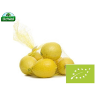 Cytryna w siatce BIO IMPORT 500 g