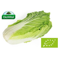 Kapusta spiczasta BIO IMPORT 1 kg