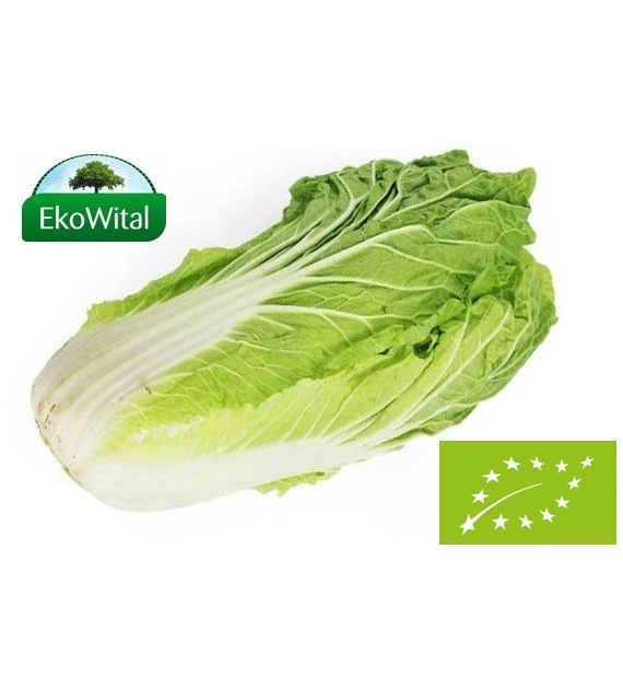 Kapusta spiczasta BIO IMPORT 1 kg