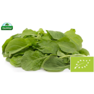 Rukola szerokolistna BIO 1 szt.