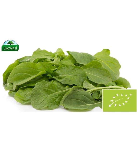 Rukola szerokolistna BIO 1 szt.