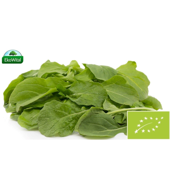 Rukola szerokolistna BIO 1 szt.