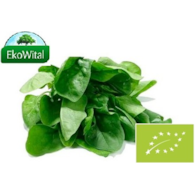 Szpinak Nowozelandzki BIO 1 szt (ok. 100 g)
