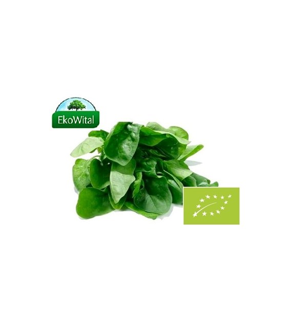 Szpinak Nowozelandzki BIO 1 szt (ok. 100 g)