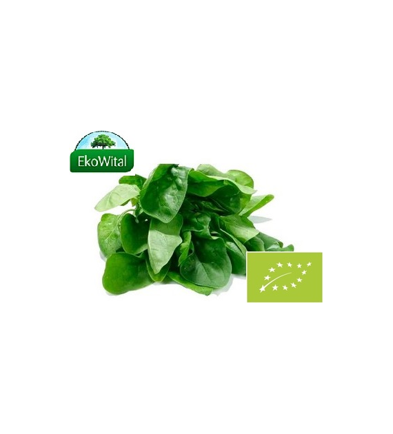 Szpinak Nowozelandzki BIO 1 szt (ok. 100 g)