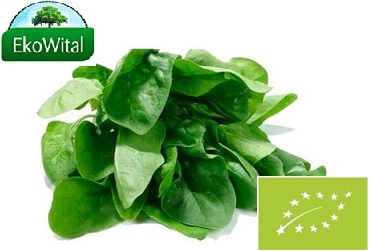 Szpinak Nowozelandzki BIO 1 szt (ok. 100 g)