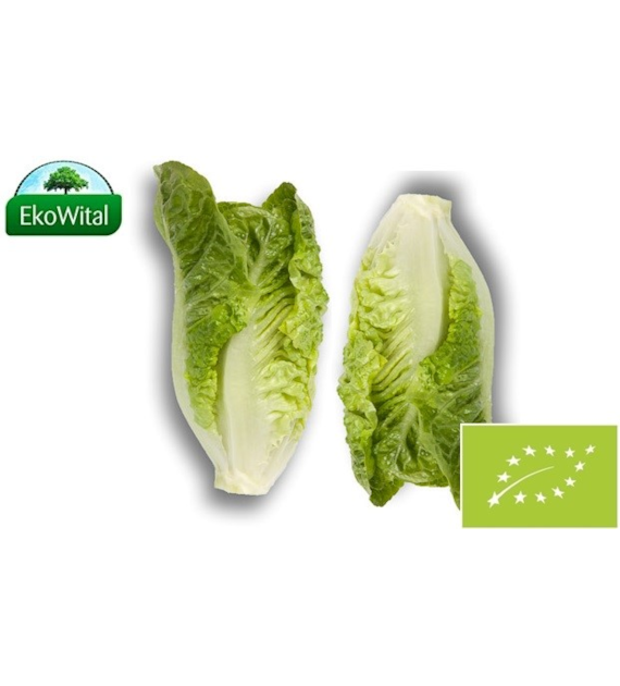 Sałata rzymska mini BIO 2 szt