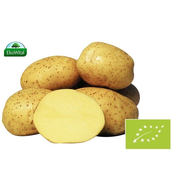 Ziemniak wczesny BIO IMPORT 1 kg #