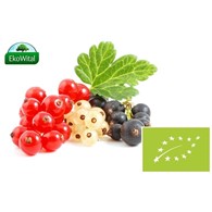 Porzeczka mix BIO 300g