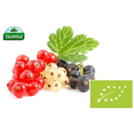 Porzeczka mix BIO 300g