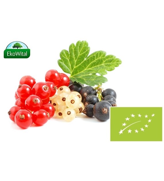 Porzeczka mix BIO 300g