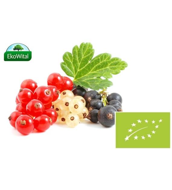 Porzeczka mix BIO 300g