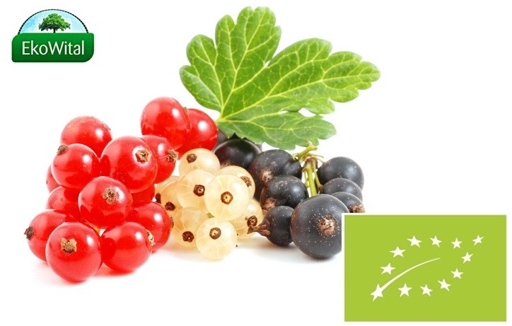 Porzeczka mix BIO 300g