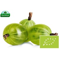 Agrest BIO 250 g