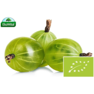 Agrest BIO 250 g