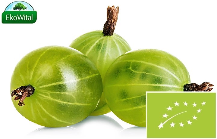 Agrest BIO 250 g
