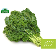 Jarmuż mix (LETNI) BIO 1 szt