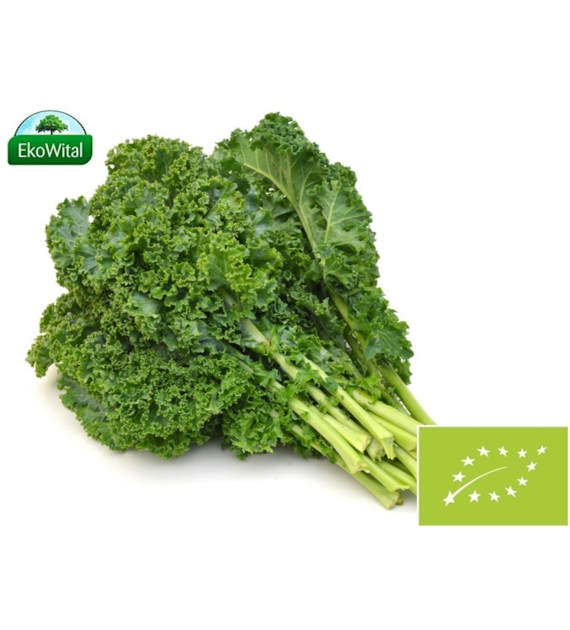 Jarmuż mix (LETNI) BIO 1 szt