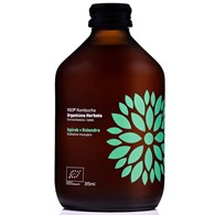 Kombucha Ogórek+Kolendra  BIO 330ml