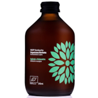 Kombucha Ogórek+Kolendra  BIO 330ml