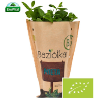 Mięta w doniczce BIO szt (SPRZEDAŻ PO 6 SZTUK)