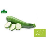 Cukinia BIO 1 kg #