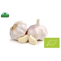 Czosnek młody BIO 1 szt
