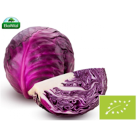 Kapusta czerwona BIO 1 szt