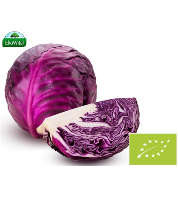Kapusta czerwona BIO 1 szt