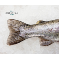 Pstrąg patroszony świeży  BIO (opakowanie ok.200-400 g)