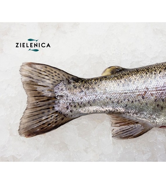 Pstrąg patroszony świeży  BIO (opakowanie ok.200-400 g)