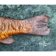 Pstrąg wędzony na gorąco BIO (opakowanie ok.200-400 g)