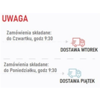 Sałata Chińska Musztardowiec BIO 1 szt