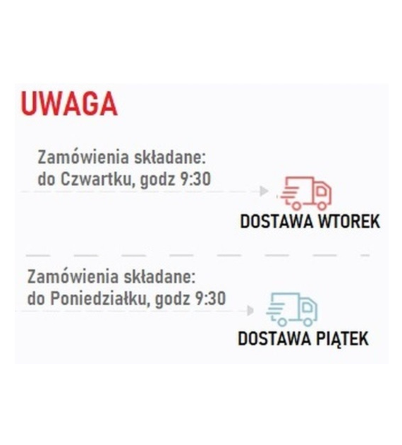 Sałata Chińska Musztardowiec BIO 1 szt