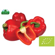 Papryka czerwona BIO 1 kg