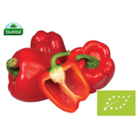 Papryka czerwona BIO 1 kg