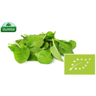 Szpinak Baby BIO 1 szt (ok. 100 g)