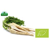 Pietruszka BIO 1 kg #