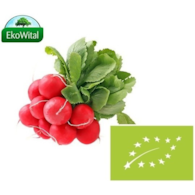 Rzodkiewka BIO 1 pęczek