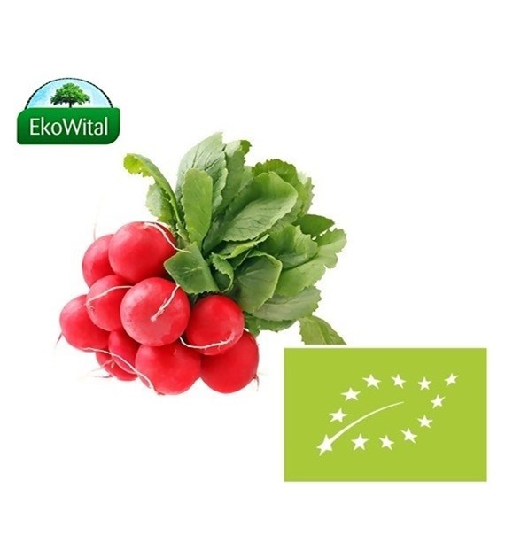 Rzodkiewka BIO 1 pęczek