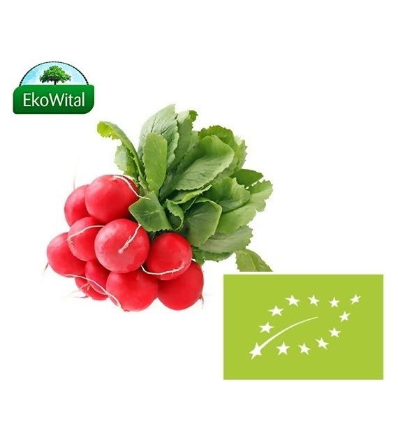 Rzodkiewka BIO 1 pęczek