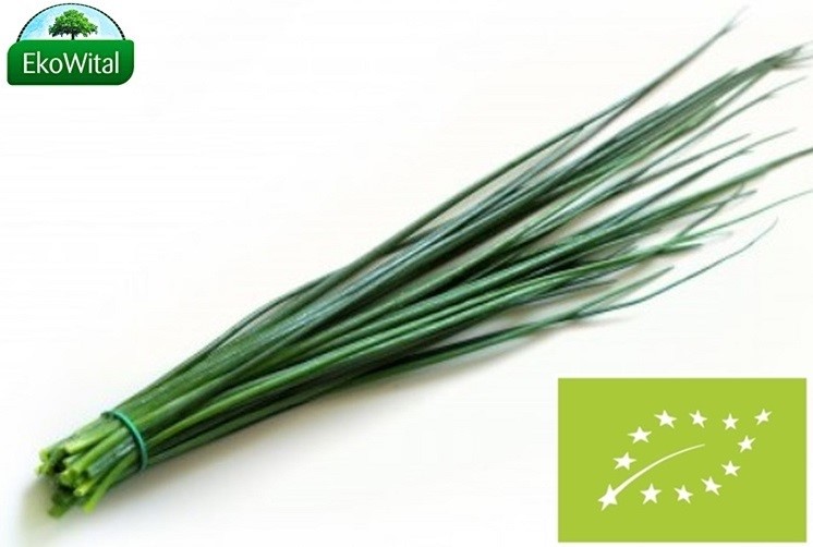 Szczypiorek BIO 1 pęczek